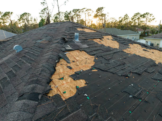 Best Chimney Flashing Repair  in , NJ